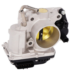 Throttle Body Assembly