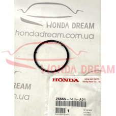 O-RING (B) (25565-5LJ-A01) - 4