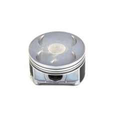PISTON SET (13010-RGL-A00)
