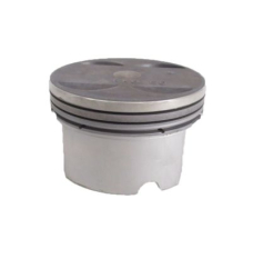 PISTON SET (13010-RKG-305)