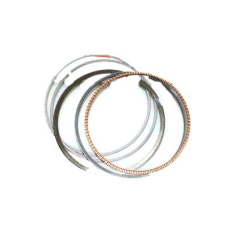 Ring Set, Piston (Over Size) (0.25) (13021-PNE-G02)