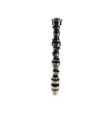CAMSHAFT,F (14100-RGM-A00)