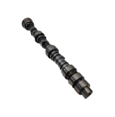 CAMSHAFT COMP,FR (14100-RGW-A11)
