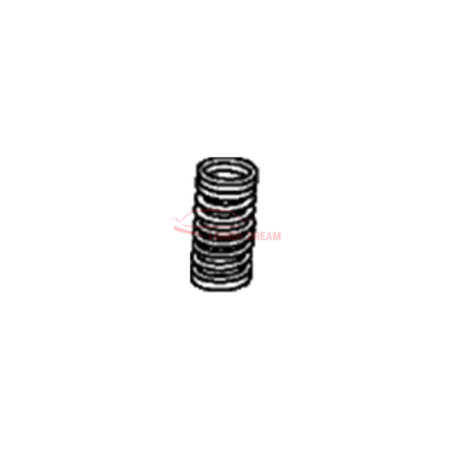 SPRING, VALVE (14761-5G0-A01) - 2