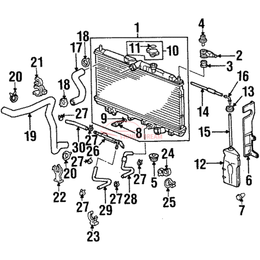 RADIATOR COMP (19010-P5M-903) - 1