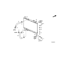 HOSE, RESERVE TANK (B) (19104-6A0-A01)