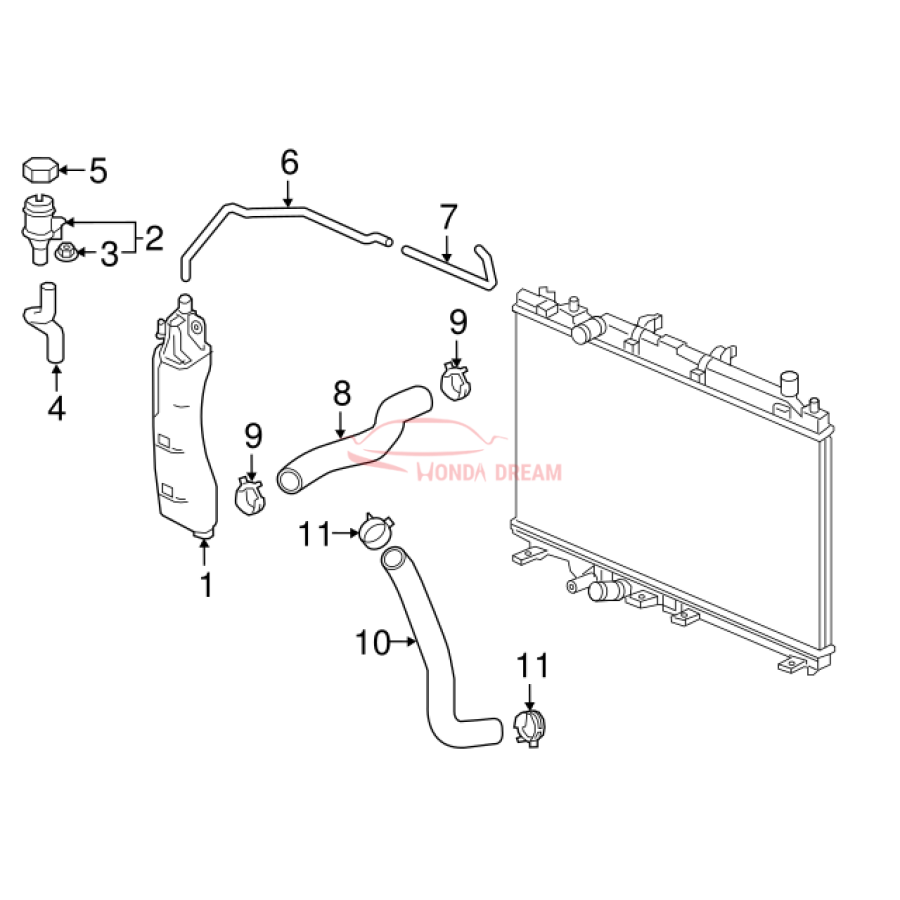 HOSE,WATER UPPER (19501-51B-H00) - 3