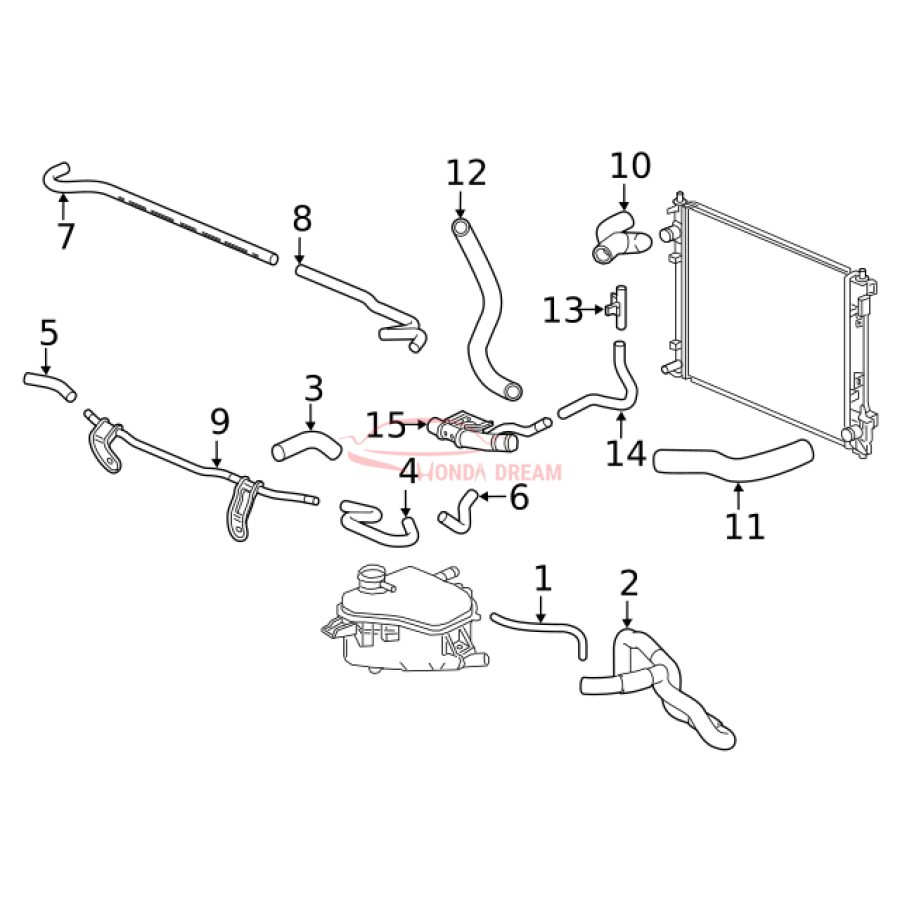 HOSE,WATER UPPER (19501-5BA-A00) - 3