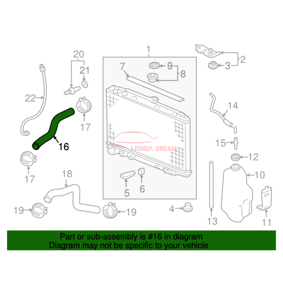 HOSE,WATER UPPER (19501-5J6-A00) - 2