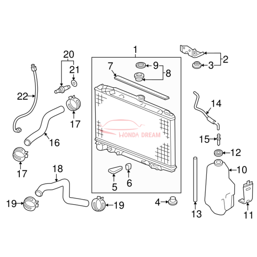 HOSE,WATER UPPER (19501-5J6-A00) - 3