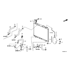 HOSE,WATER UPPER (19501-5J6-A10)