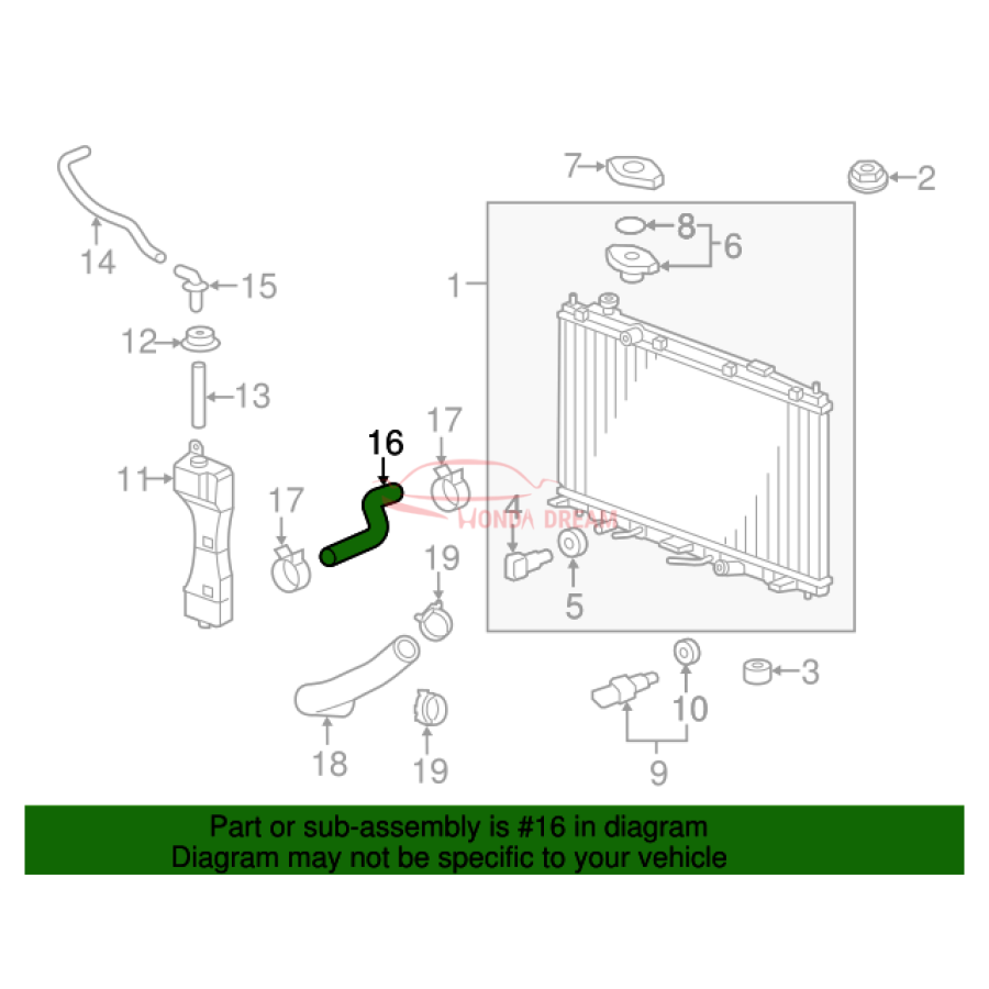 HOSE,WATER UPPER (19501-5R1-000) - 2