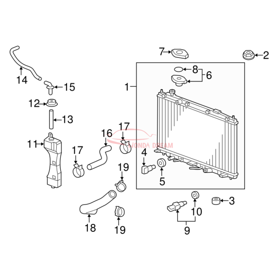 HOSE,WATER UPPER (19501-5R1-000) - 3