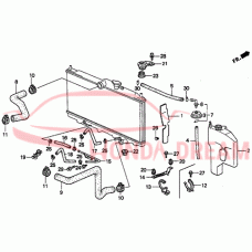 HOSE,WATER UPPER (19501-P0A-000) - 3