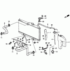 HOSE,WATER UPPER (19501-P0A-000)