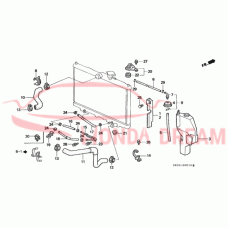 HOSE,WATER UPPER (19501-P1E-000) - 3