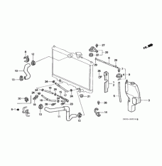 HOSE,WATER UPPER (19501-P1E-000)