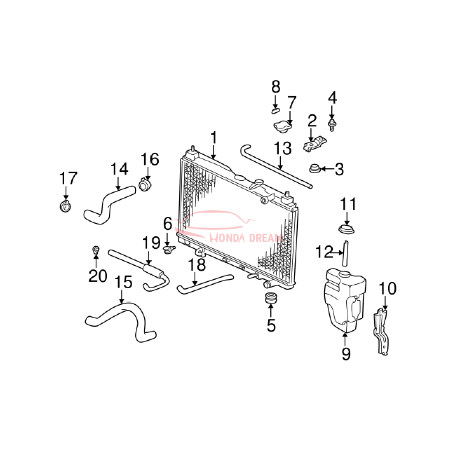 HOSE,WATER UPPER (19501-P3F-000) - 3