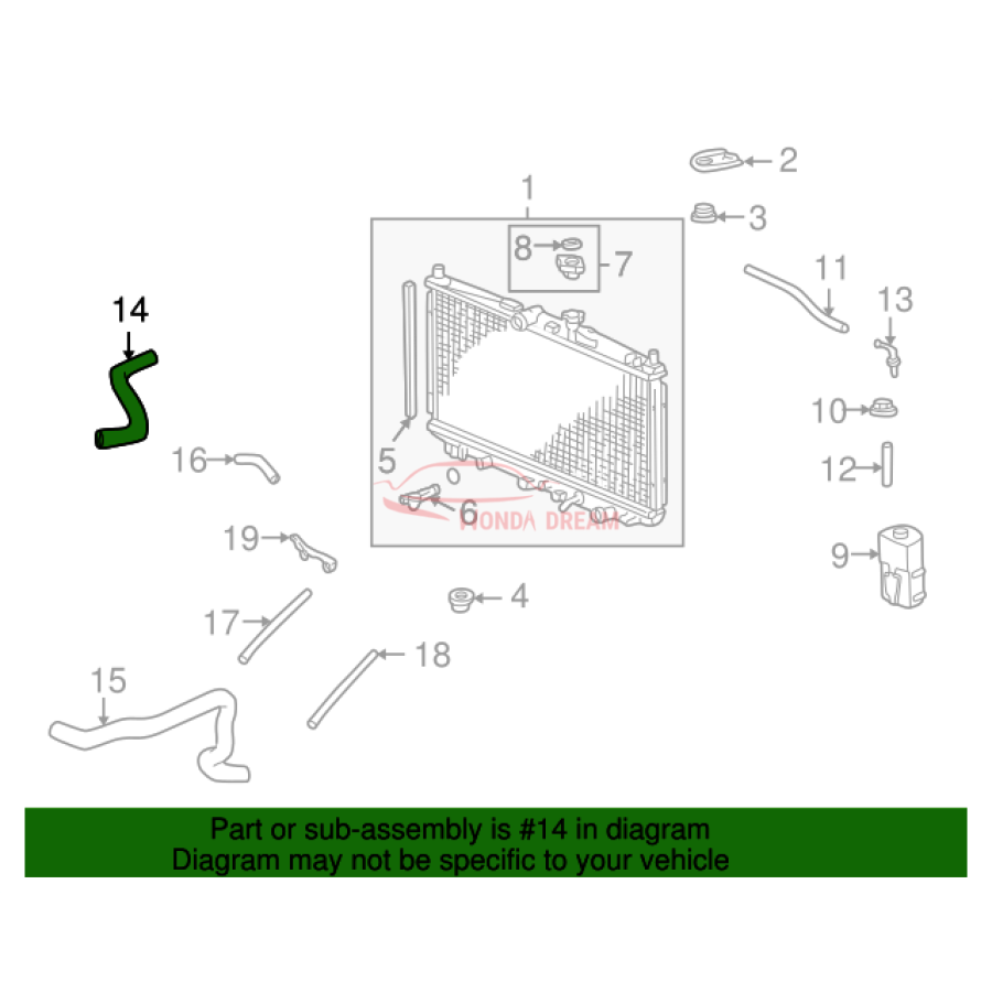 HOSE,WATER UPPER (19501-PAA-A00) - 2