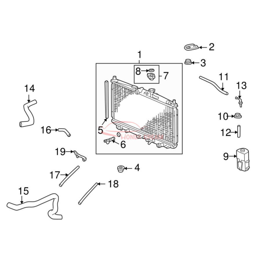 HOSE,WATER UPPER (19501-PAA-A00) - 3