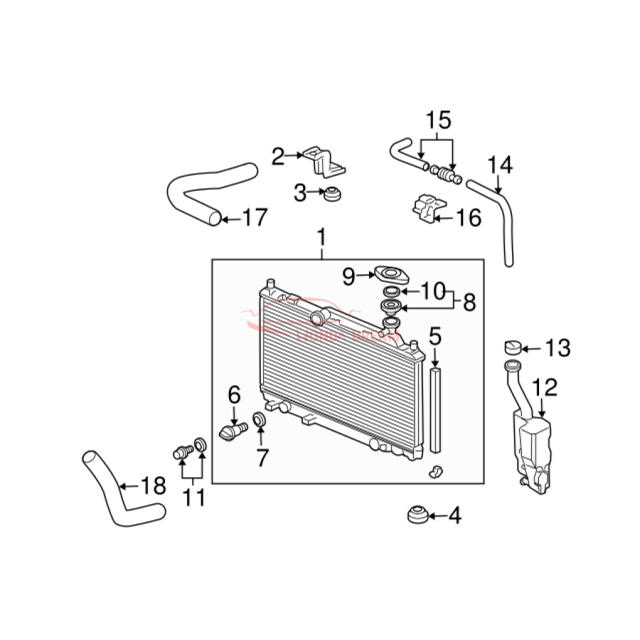 HOSE,WATER UPPER (19501-PLC-000) - 3