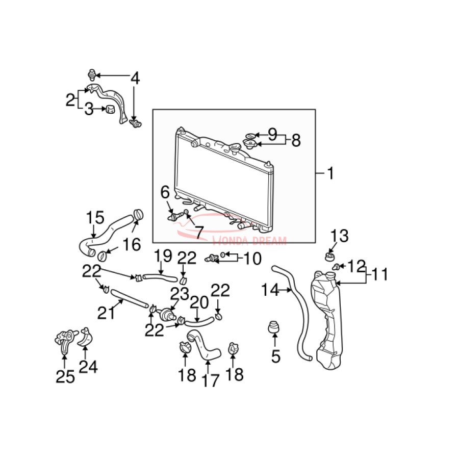 HOSE,WATER UPPER (19501-PNB-000) - 3