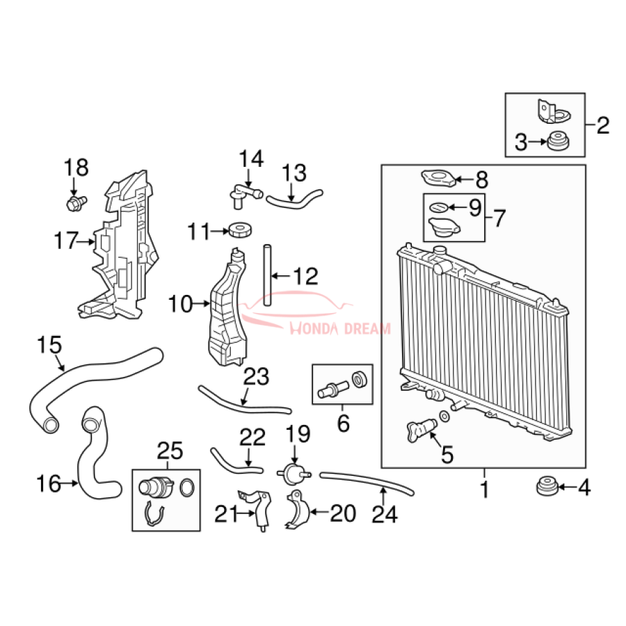 HOSE,WATER UPPER (19501-R1A-A01) - 3