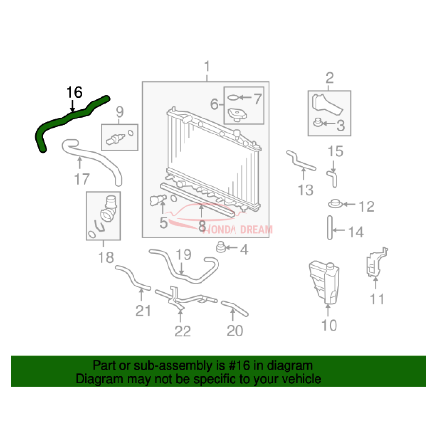 HOSE,WATER UPPER (19501-R40-A01) - 2