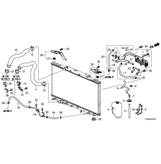 HOSE,WATER UPPER (19501-R8A-A01)