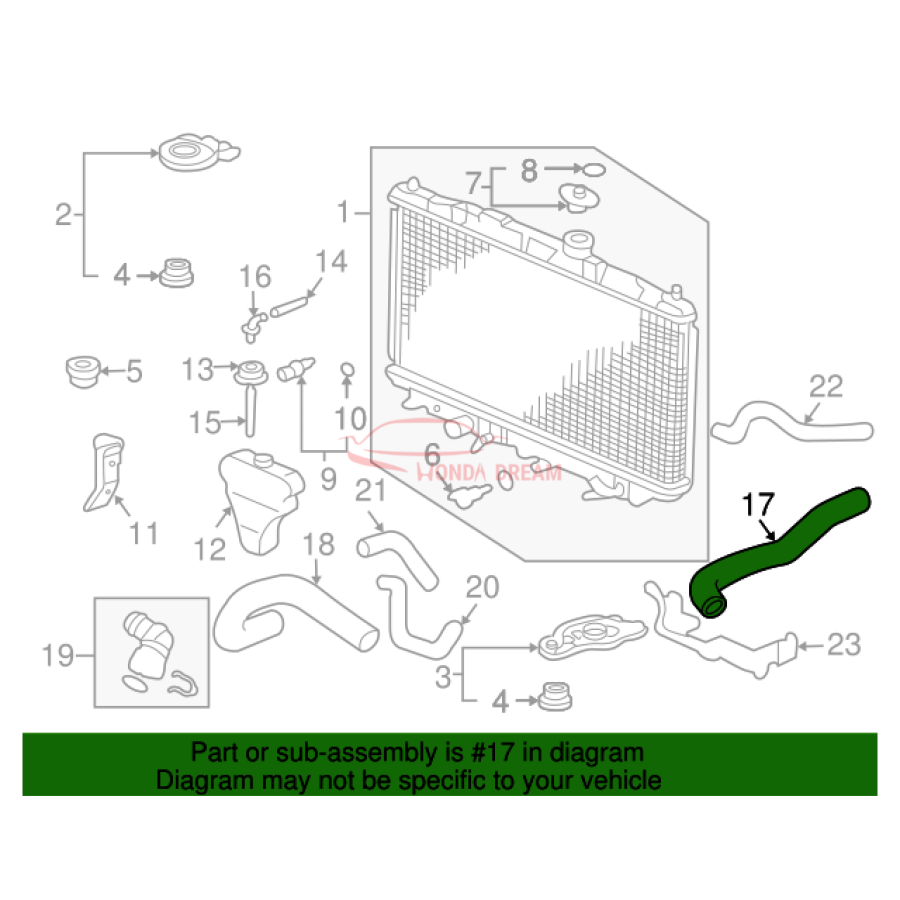 HOSE,WATER UPPER (19501-RAA-A00) - 2