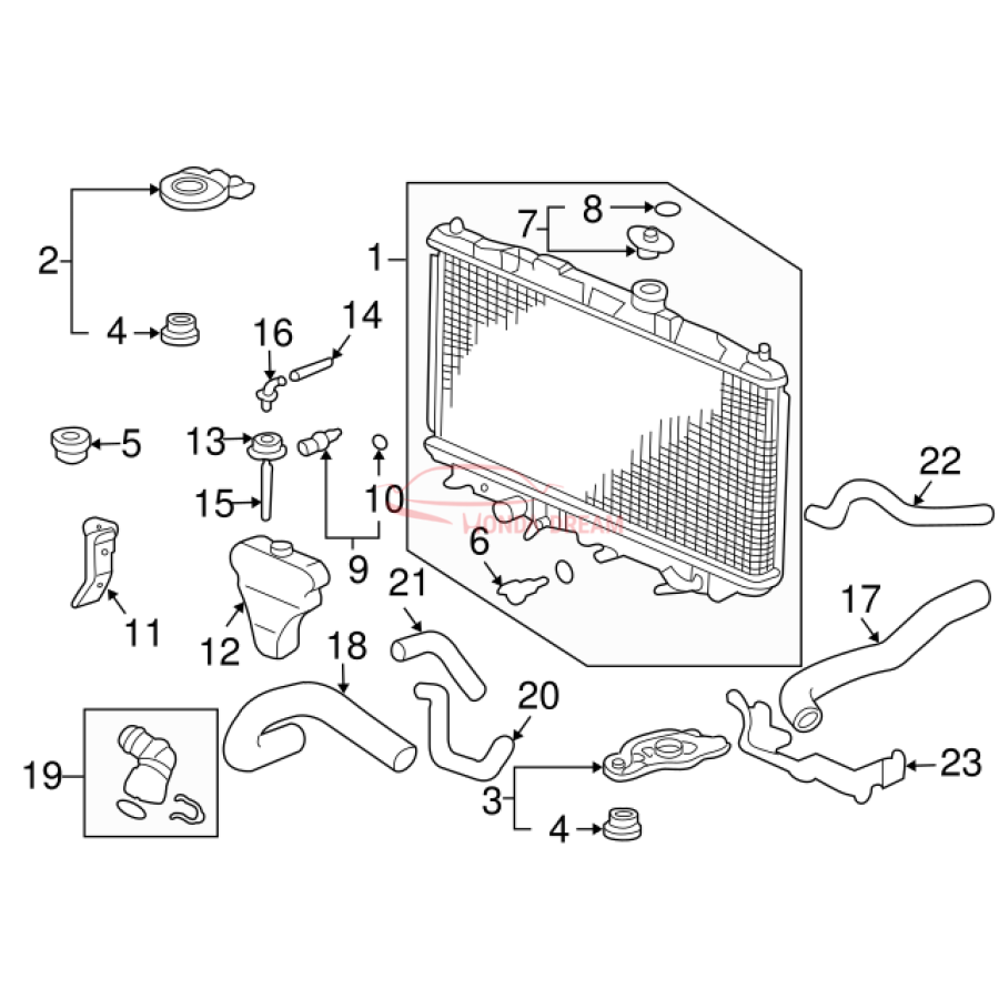 HOSE,WATER UPPER (19501-RAA-A00) - 3