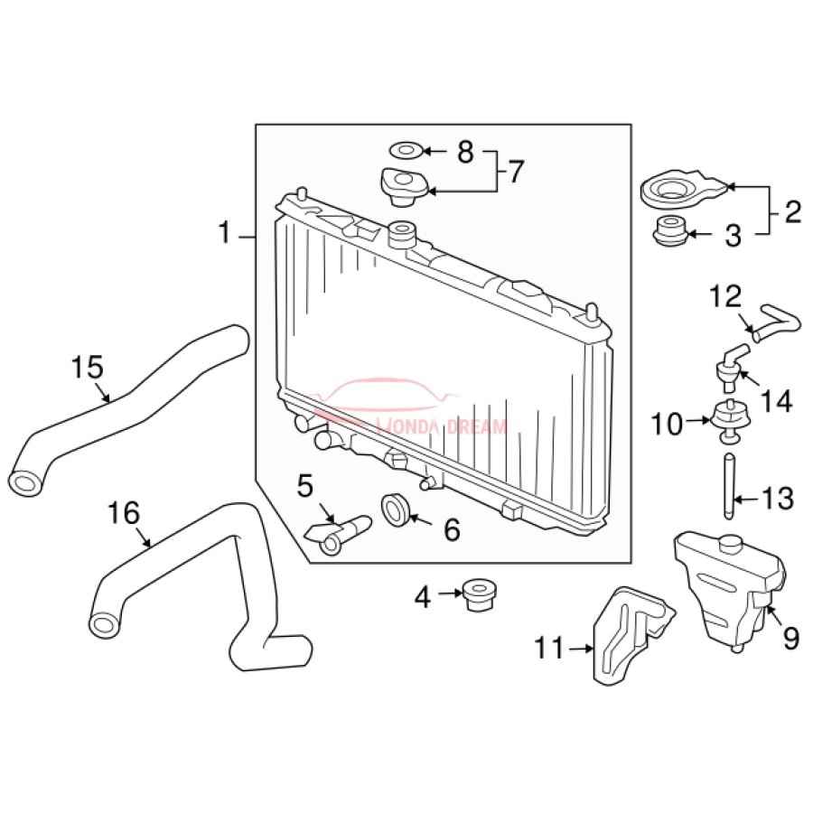 HOSE,WATER UPPER (19501-RCA-A00) - 3