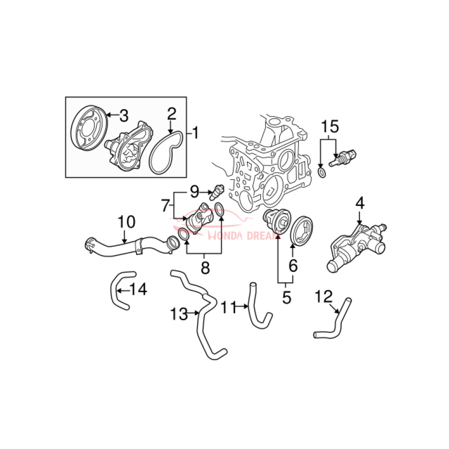 HOSE,WATER UPPER (19501-RRA-A01) - 3