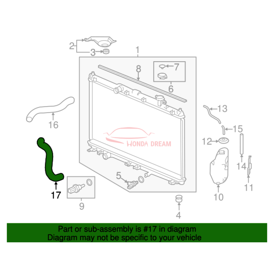 HOSE,WATER LOWER (19502-5A2-A01) - 2