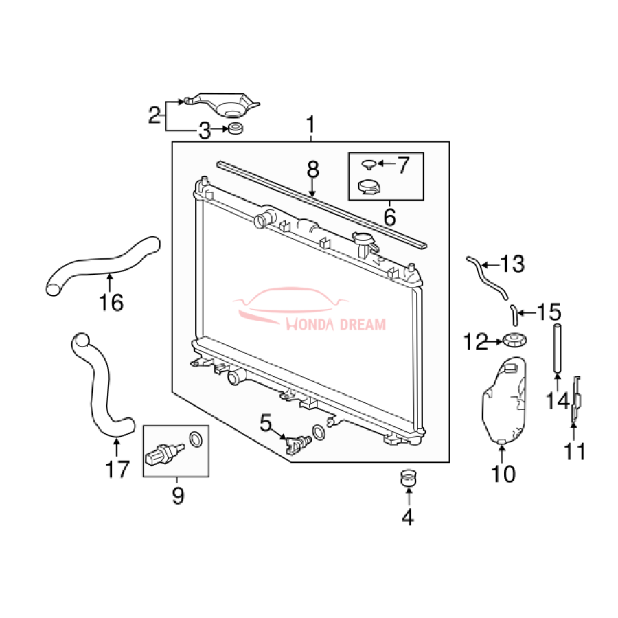 HOSE,WATER LOWER (19502-5A2-A01) - 3