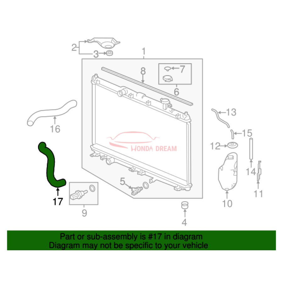 HOSE,WATER LOWER (19502-5G0-A50) - 2