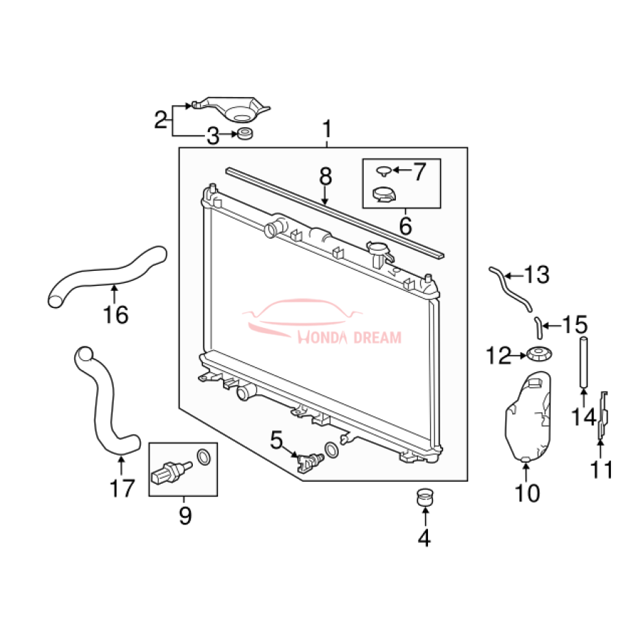 HOSE,WATER LOWER (19502-5G0-A50) - 3