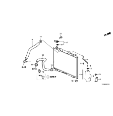 HOSE,WATER LOWER (19502-5J6-A01)