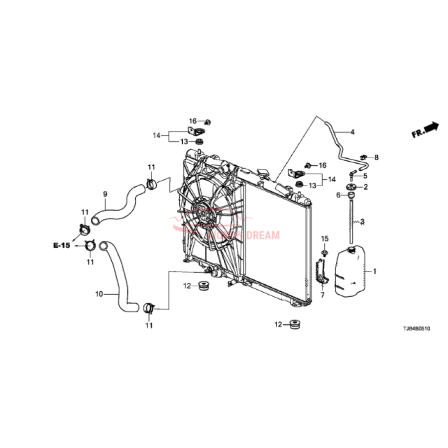 HOSE,WATER LOWER (19502-5YF-A01) - 3