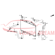 HOSE,WATER LOWER (19502-6S8-A00) - 3