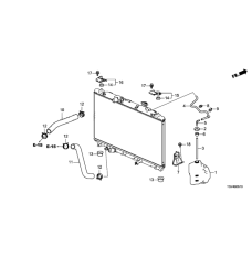 HOSE,WATER LOWER (19502-6S8-A00)