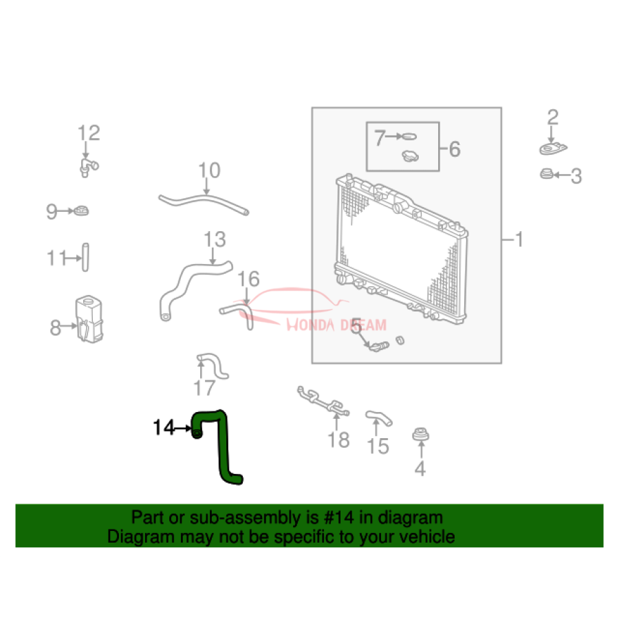 HOSE,WATER LOWER (19502-P8A-A00) - 2