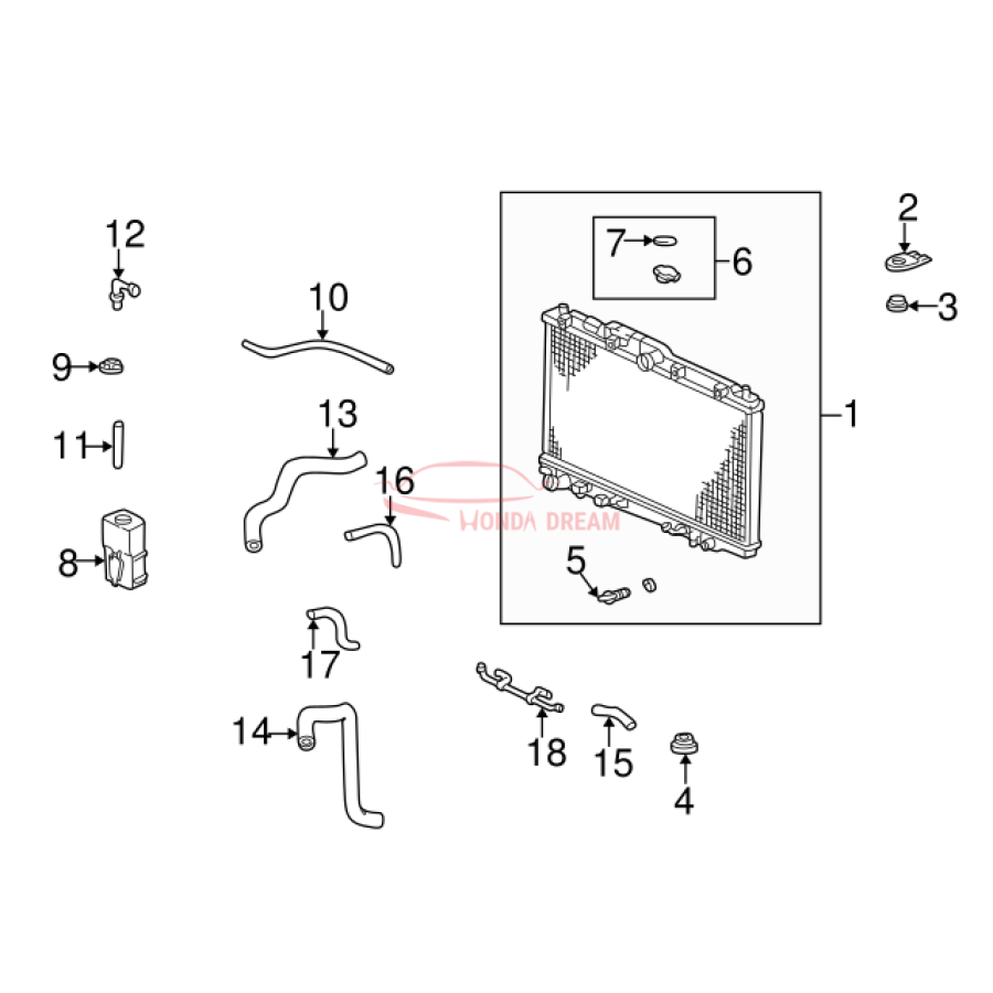 HOSE,WATER LOWER (19502-P8A-A00) - 3