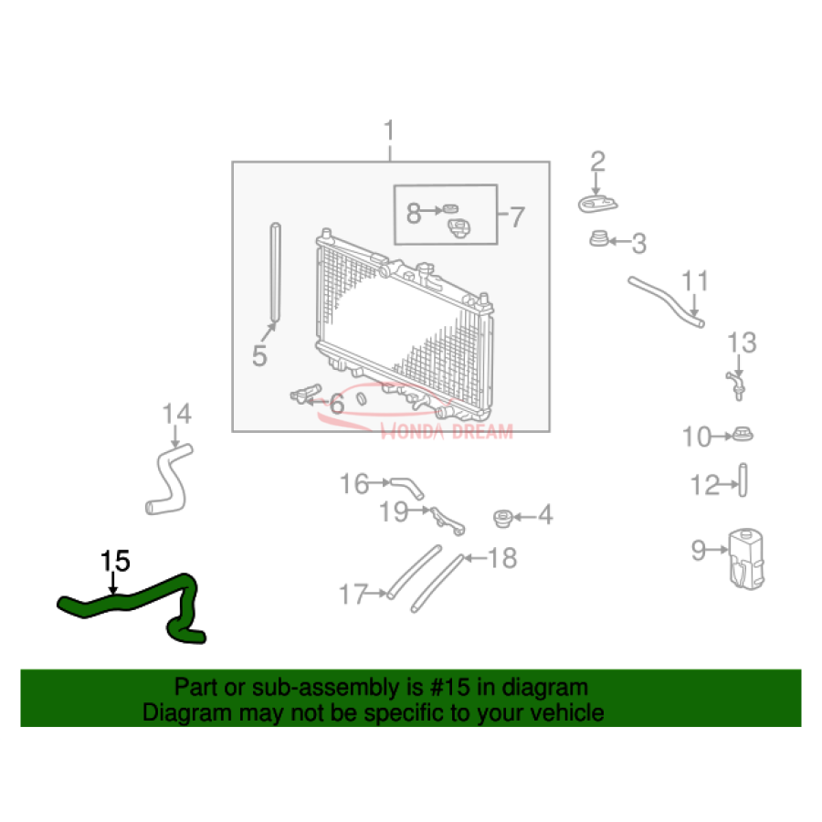 HOSE,WATER LWR (19502-PAA-A00) - 2