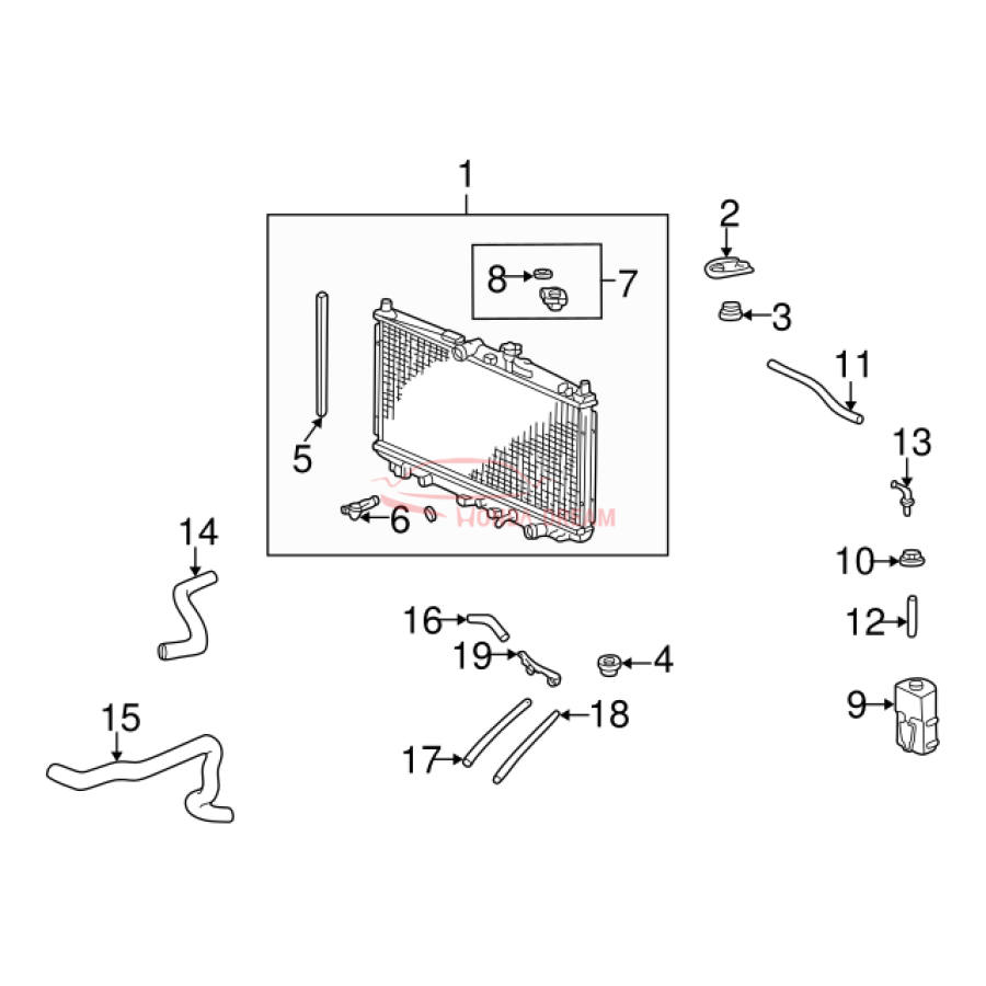 HOSE,WATER LWR (19502-PAA-A00) - 3