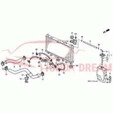 HOSE,WATER LOWER (19502-PT0-000) - 3