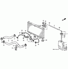 HOSE,WATER LOWER (19502-PT0-000)