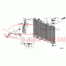 HOSE,WATER LOWER (19502-R1A-A01) - 3