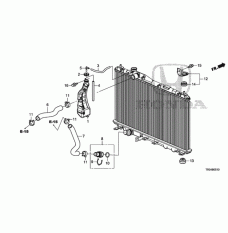 HOSE,WATER LOWER (19502-R1A-A01)