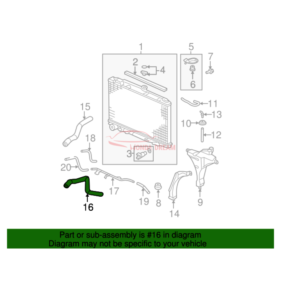 HOSE,WATER LOWER (19502-RGL-A00) - 2